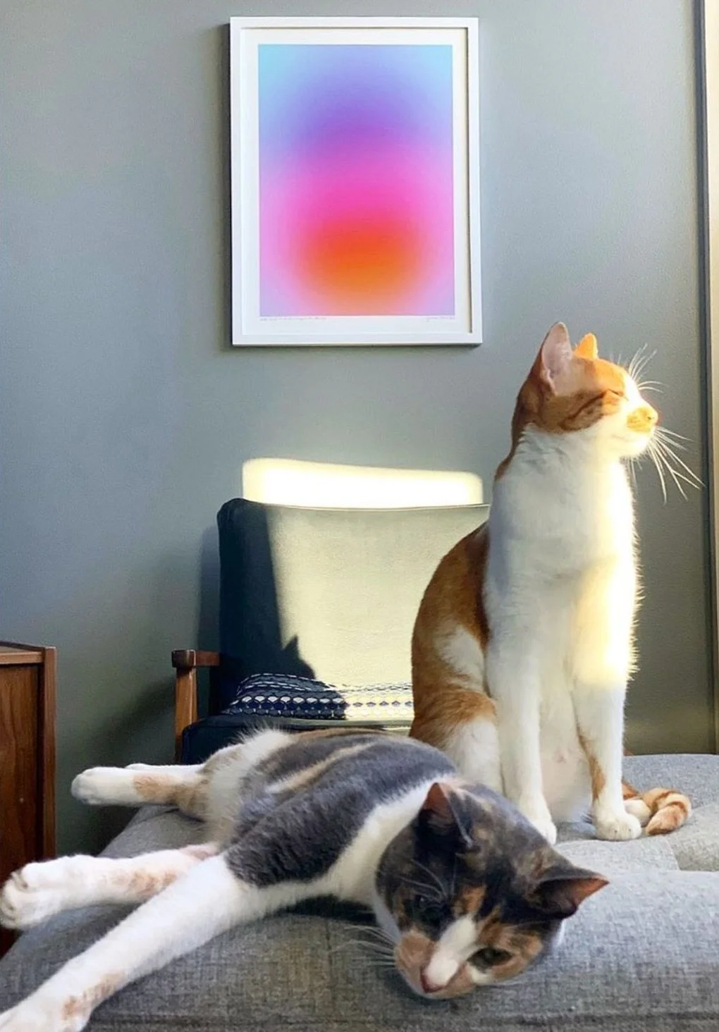 cool_cats_Kai___Nash_chilling_with_Color_Cloud_19___k_llis.jpg