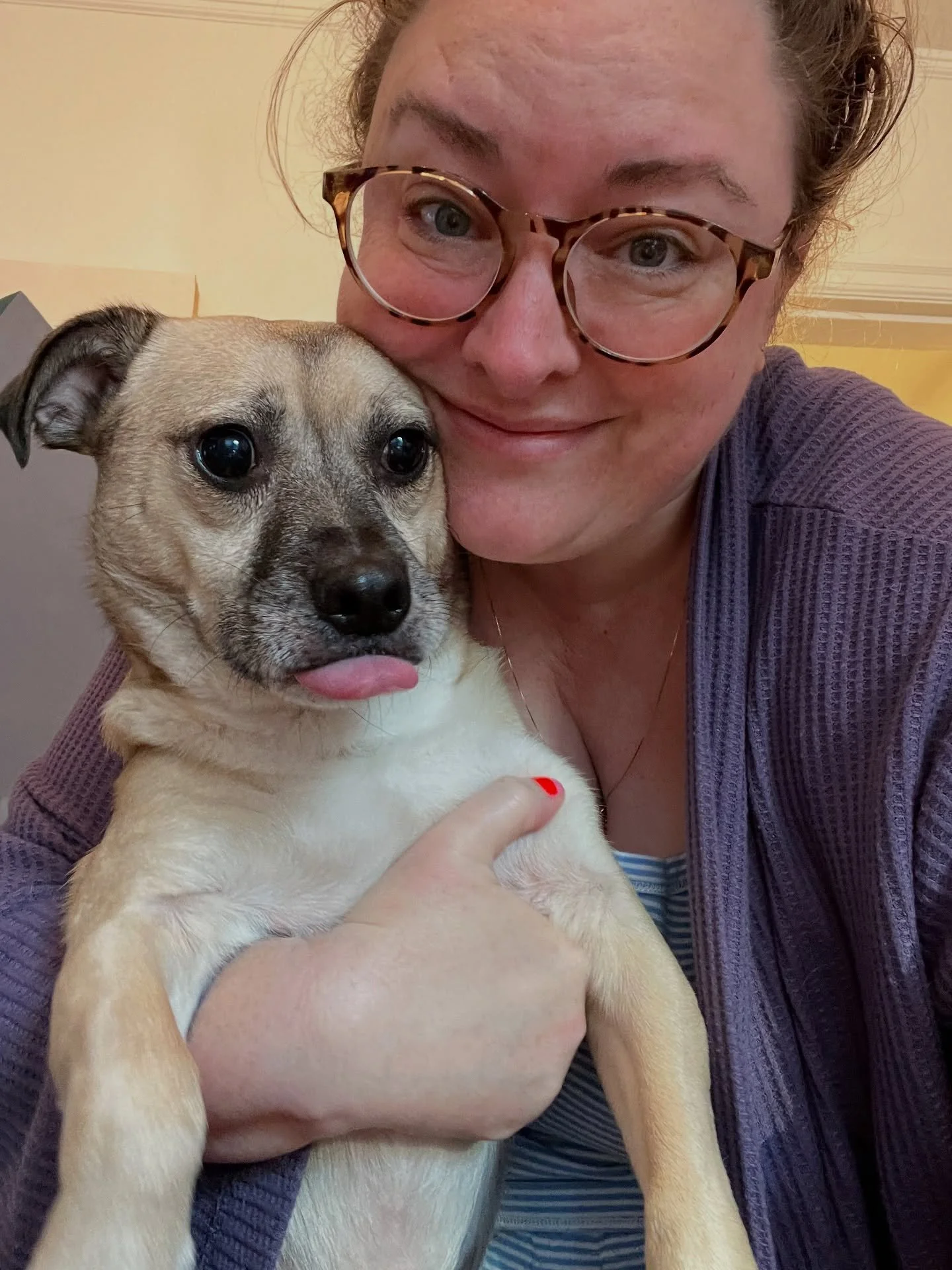 It&rsquo;s my birthday and I&rsquo;m celebrating with these pictures featuring Stanley&rsquo;s increasingly desperate attempts to not have to be in these pictures 😝😛👅😜🤪 What a weird wild year to be alive in this world, but very grateful to have 