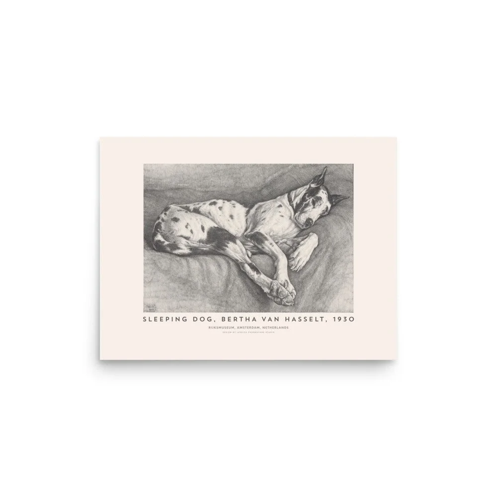 premium-luster-photo-paper-poster-(in)-12x16-front-6a04da8d0ba1c.jpg