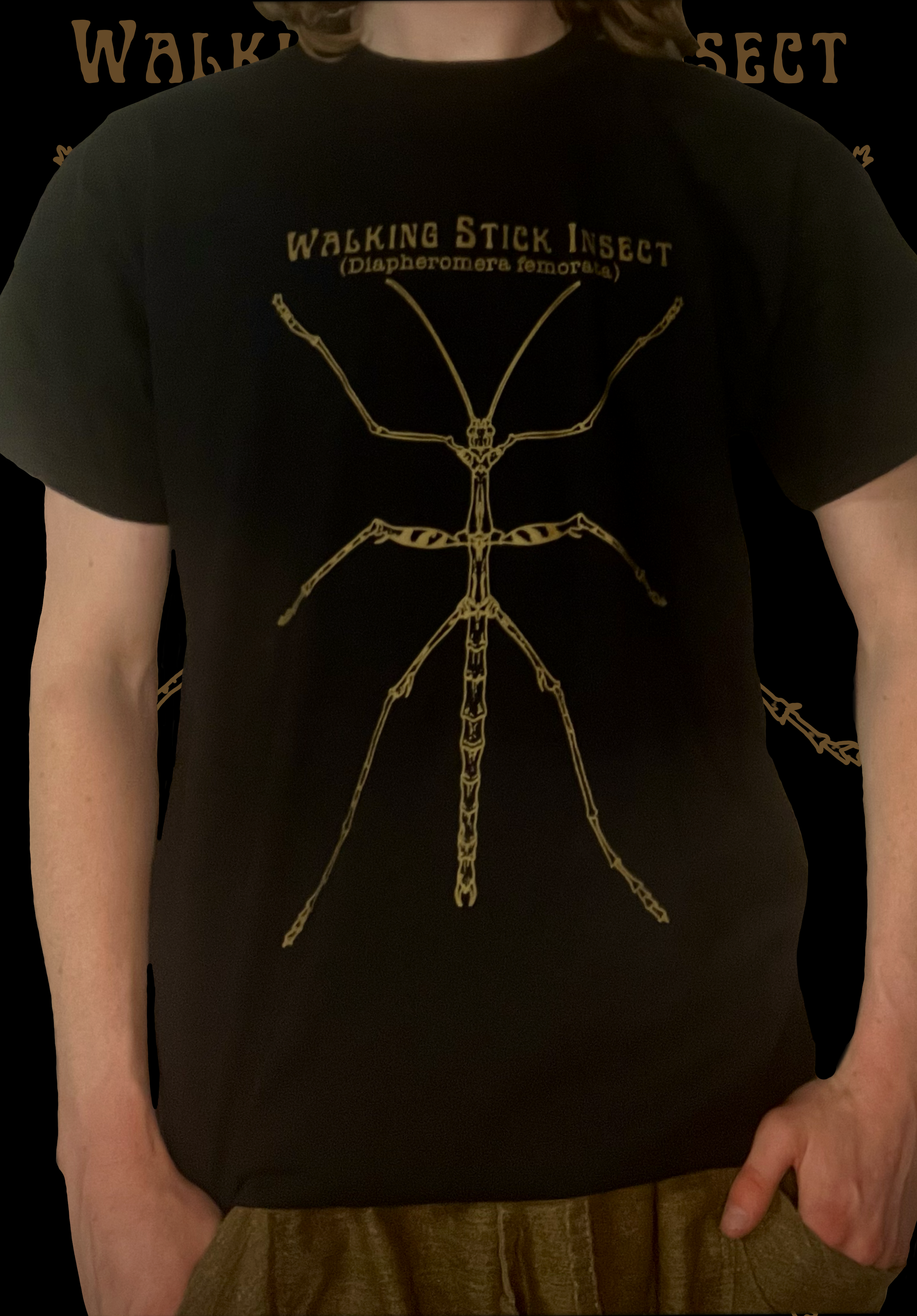 IMG_4626.PNG