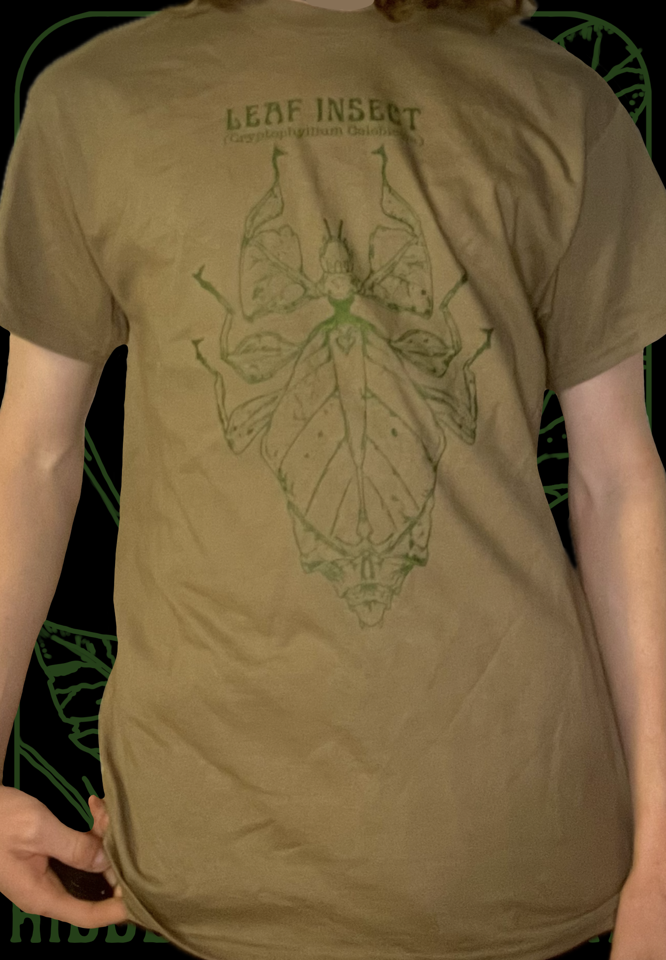 Model_1 8.png