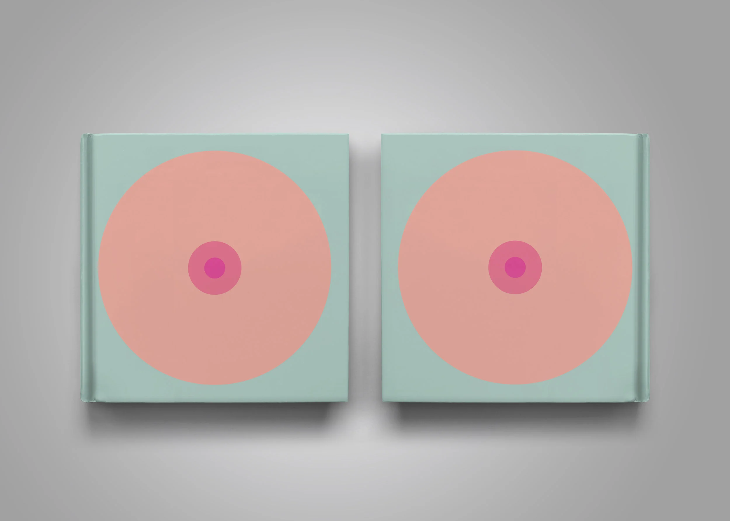frontandbackcoversmaller.jpg