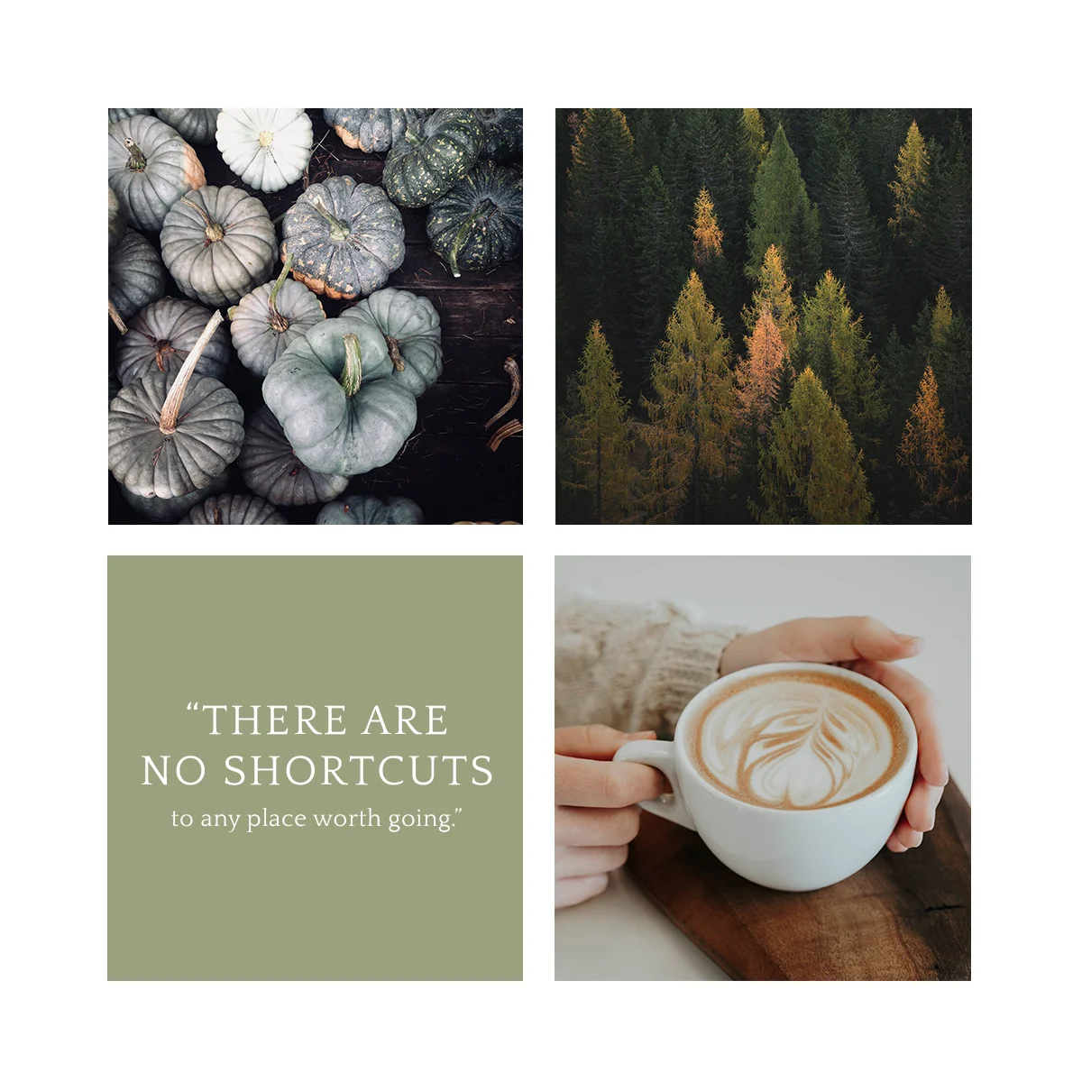 Wednesday inspiration: font & typography | No3-Quattrocento font with moodboard posted by White Box Design Studio