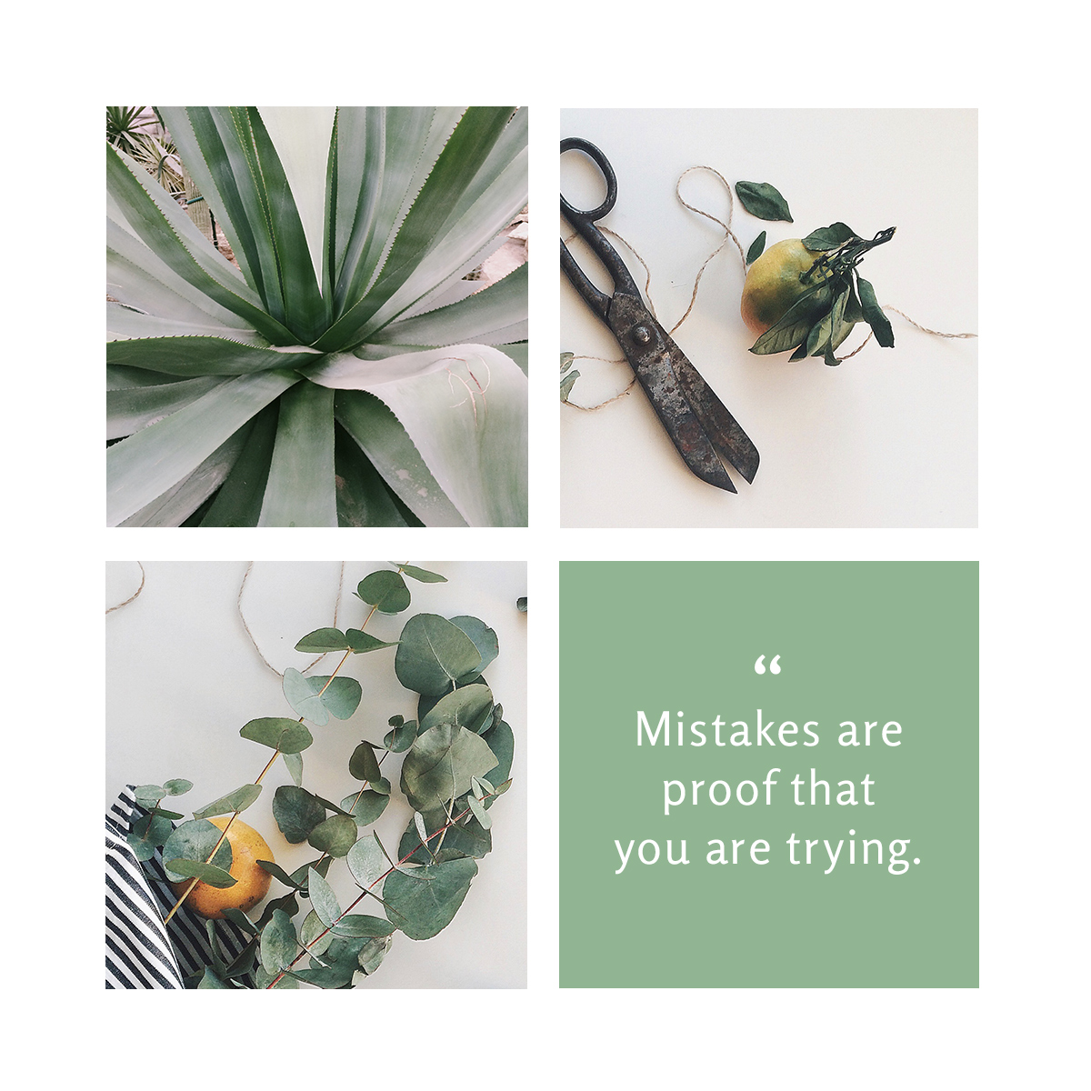 Wednesday inspiration: font & typography | No.5-Rosario typeface with moodboard posted by White Box Design Studio