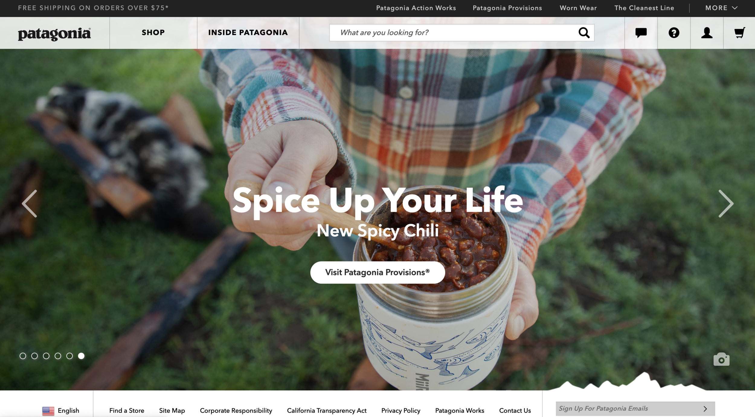 Patagonia-website.png