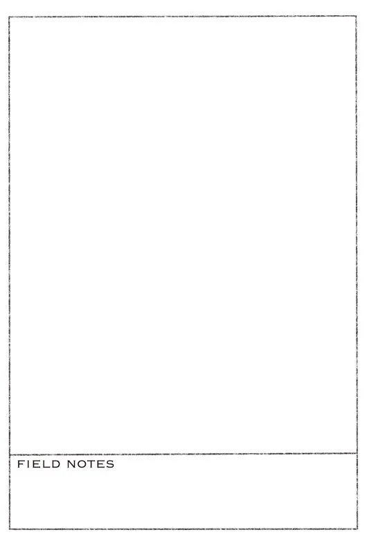 field card_10.jpg