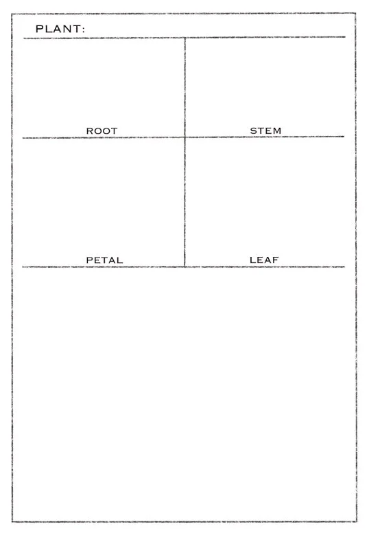 Field NotesArtist Field Cards — RAE MISSIGMAN