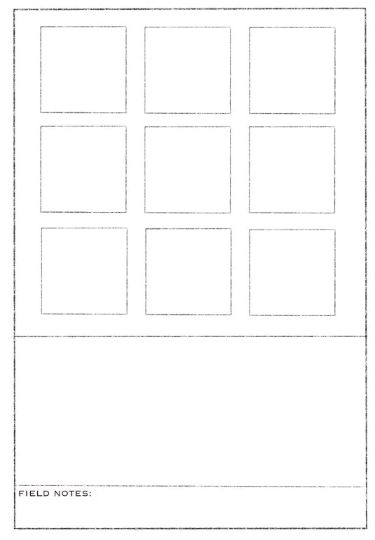 field card_14.jpg