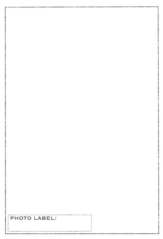 field card_18.jpg