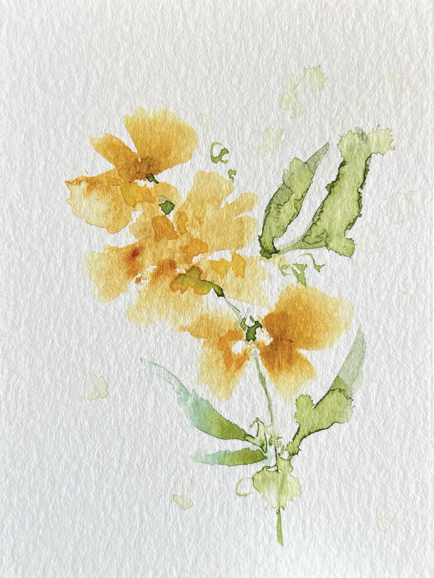 yellow 2.jpg