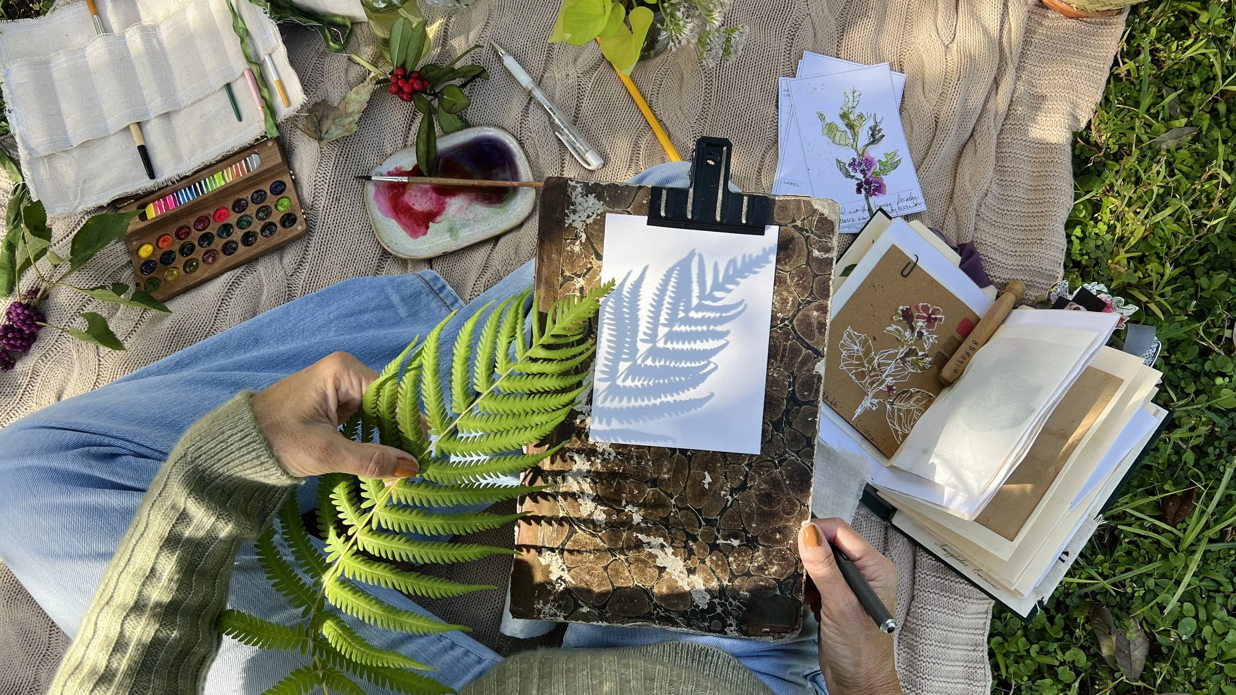 field sketching image.jpg