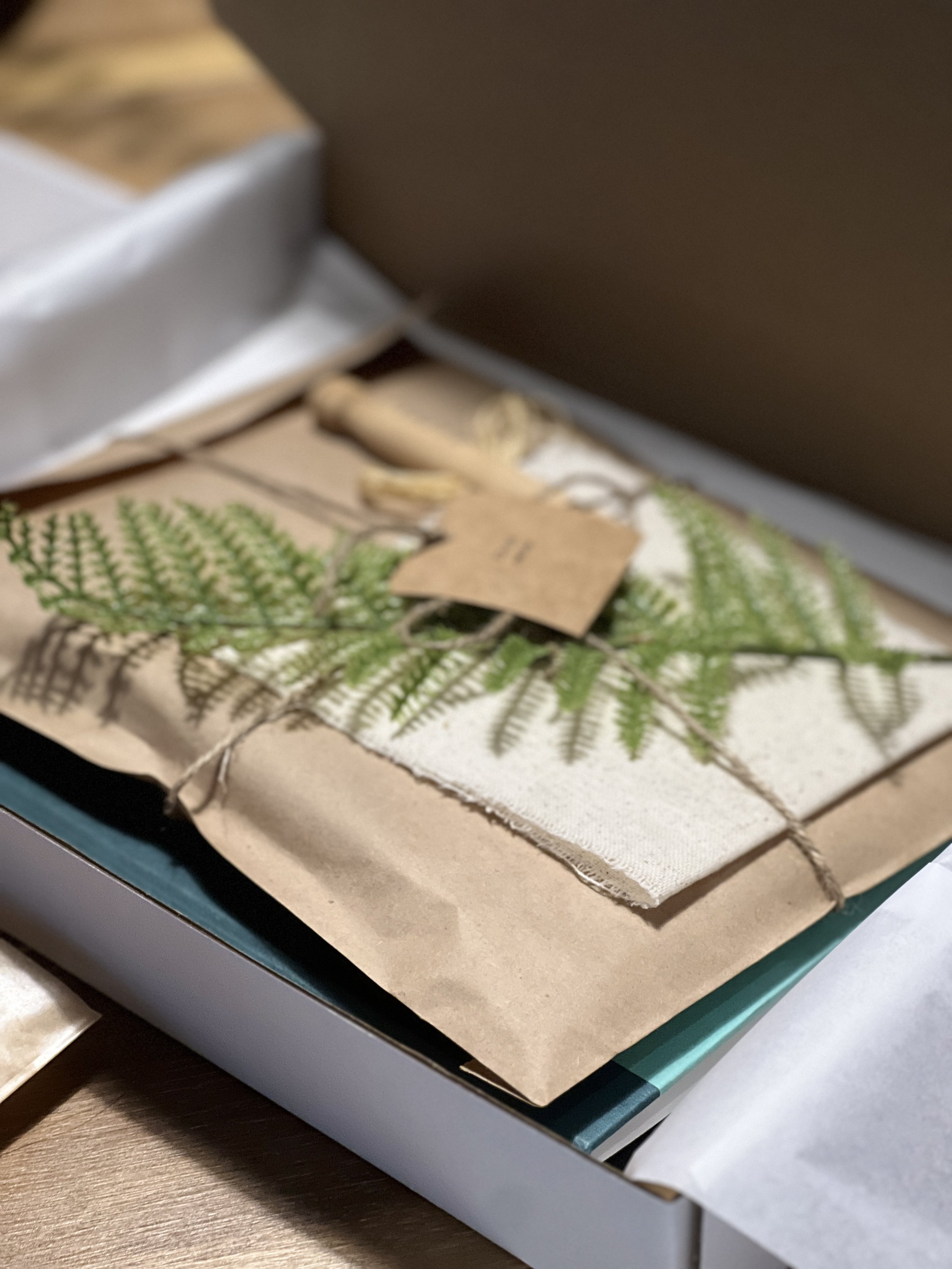 field notes kit 2-3.jpg