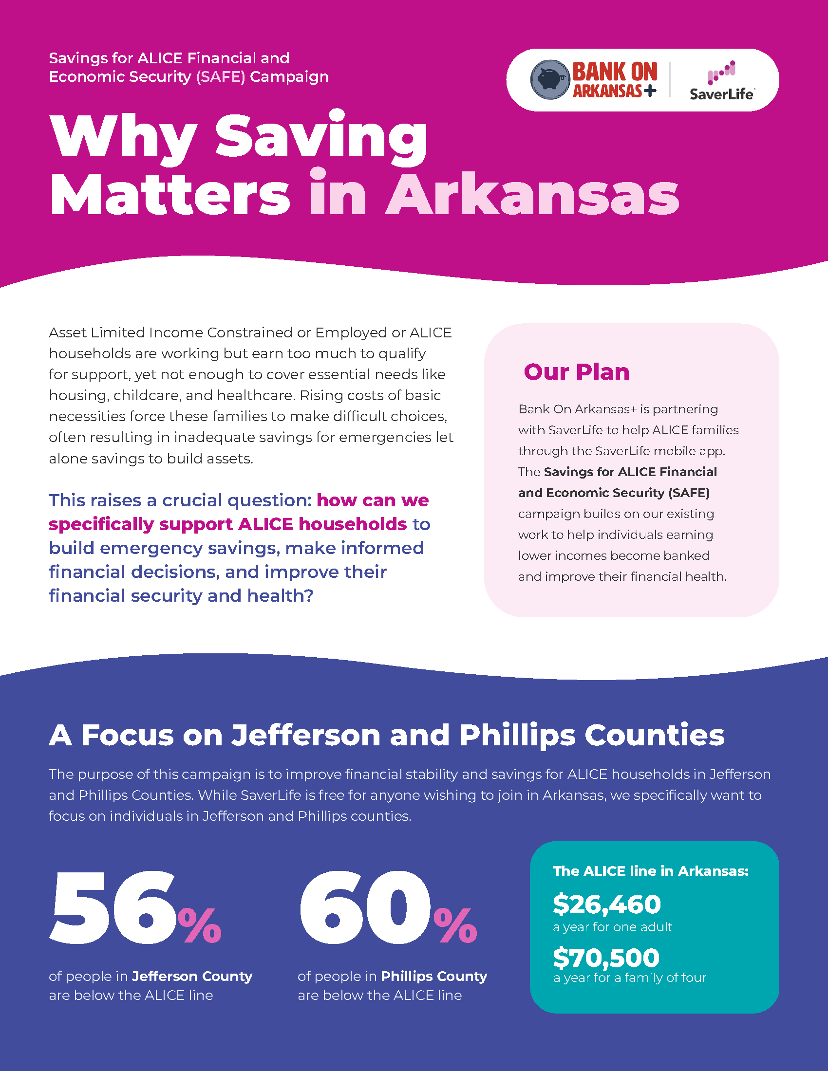 SAFE Campaign Flyer