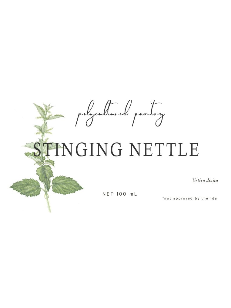 Stinging Nettle Plant — Honey's Harvest Farm
