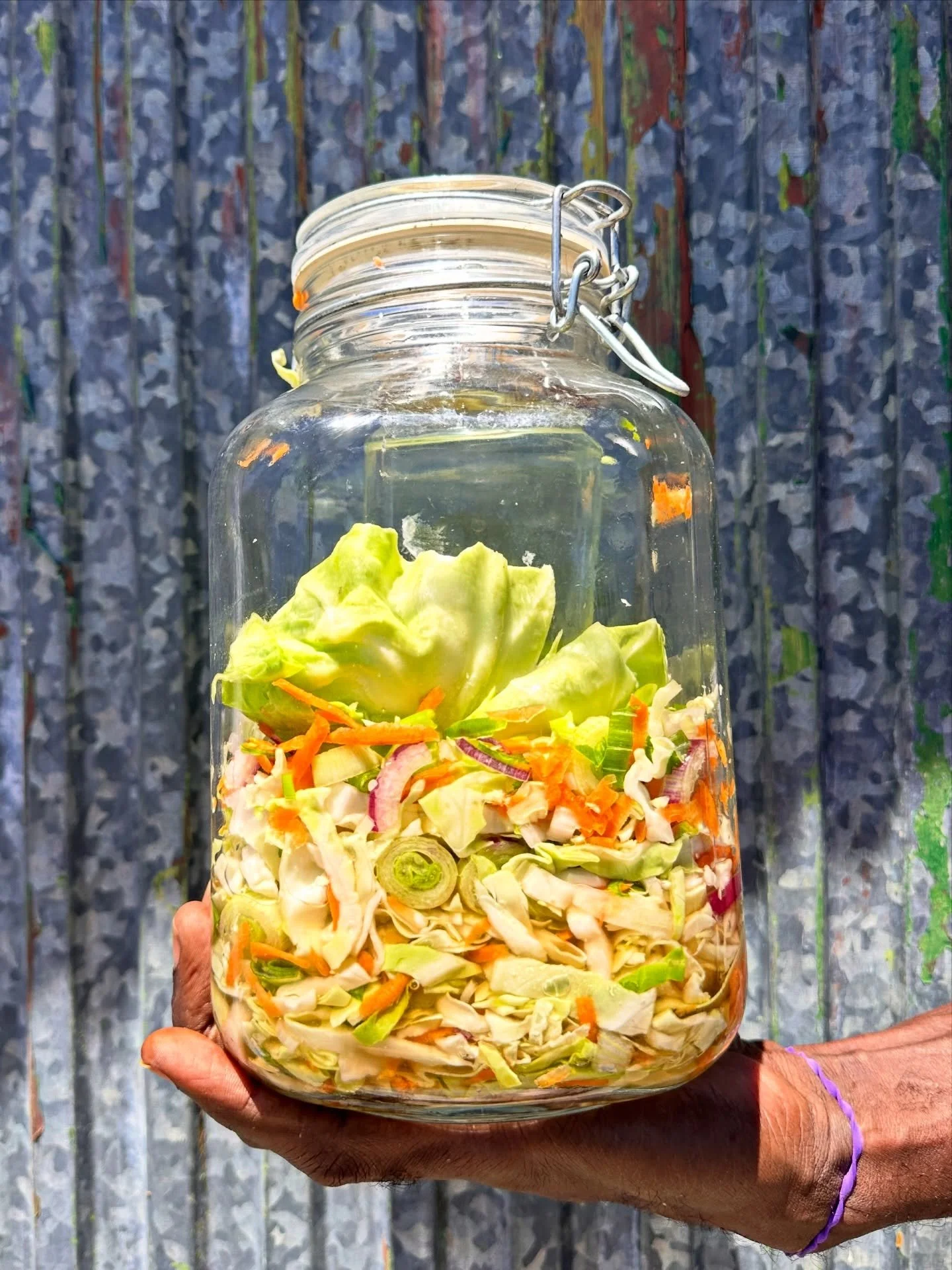 Homegrown cabbage ➡️ pikliz