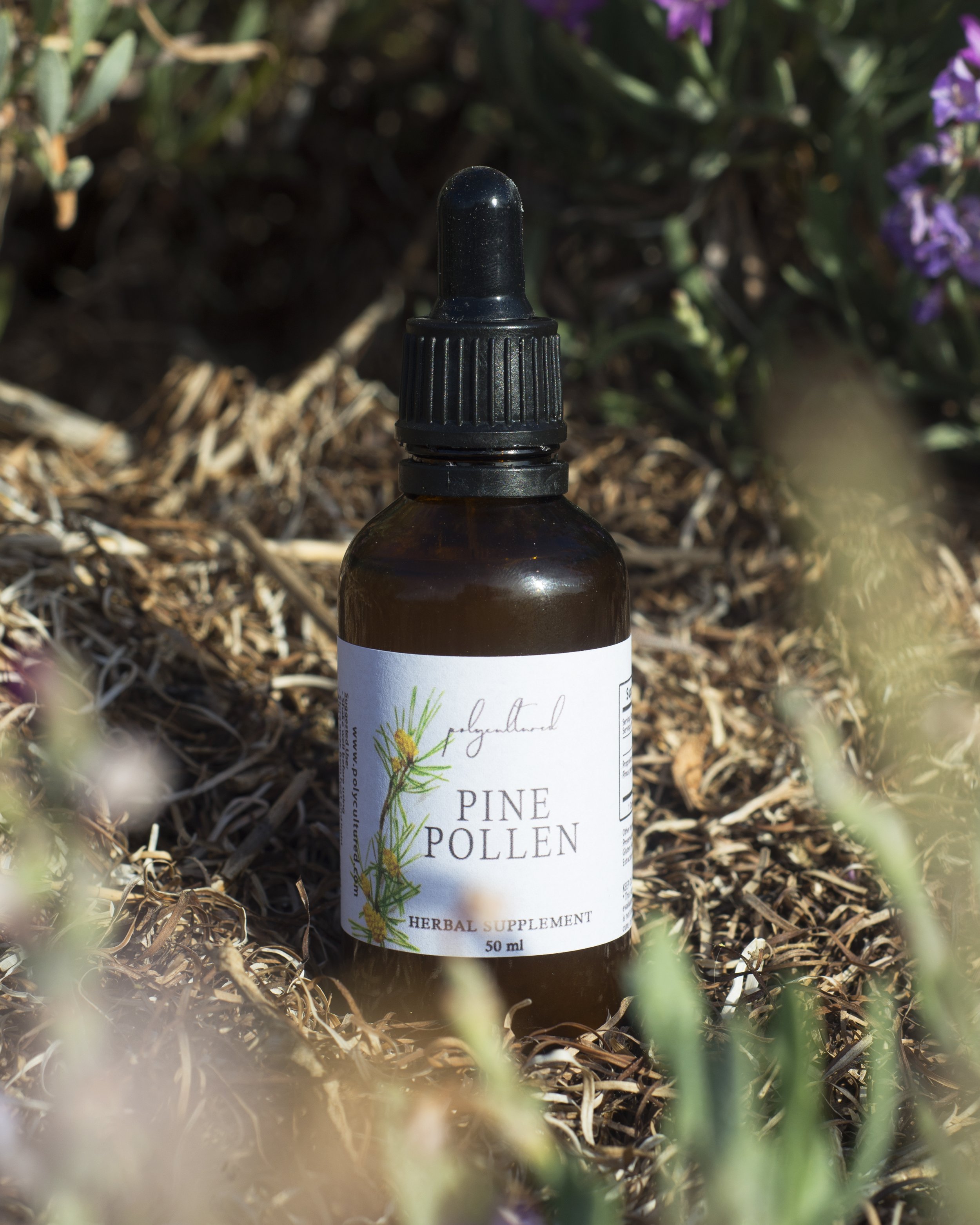 Pine Pollen Herbal Tincture