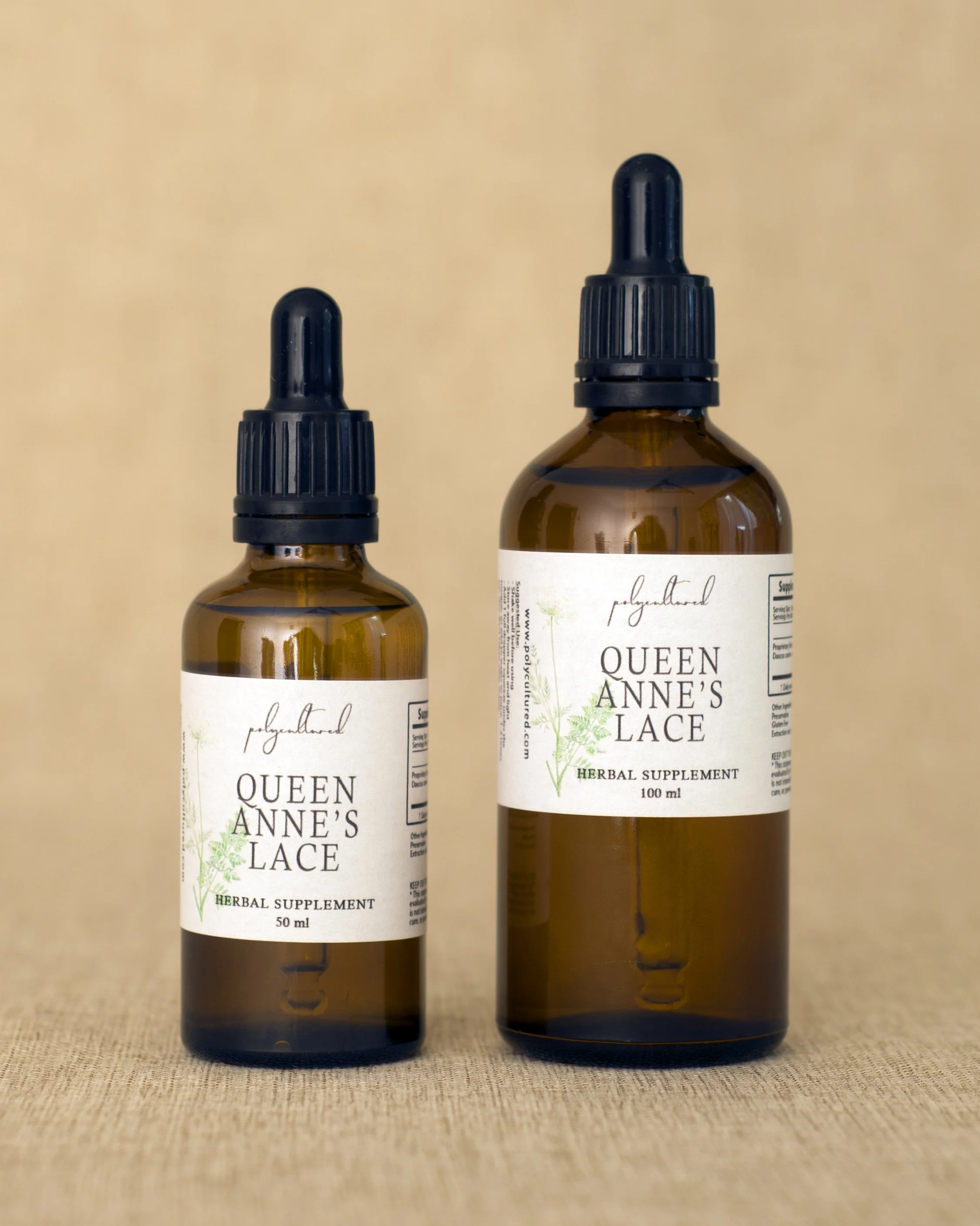 Queen Anne's Lace Seed Tincture