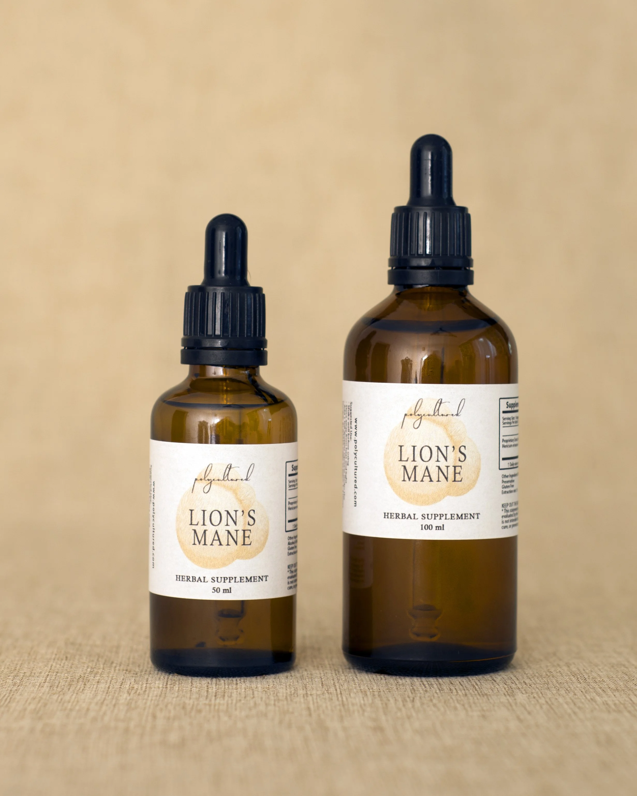 Lion's Mane Tincture