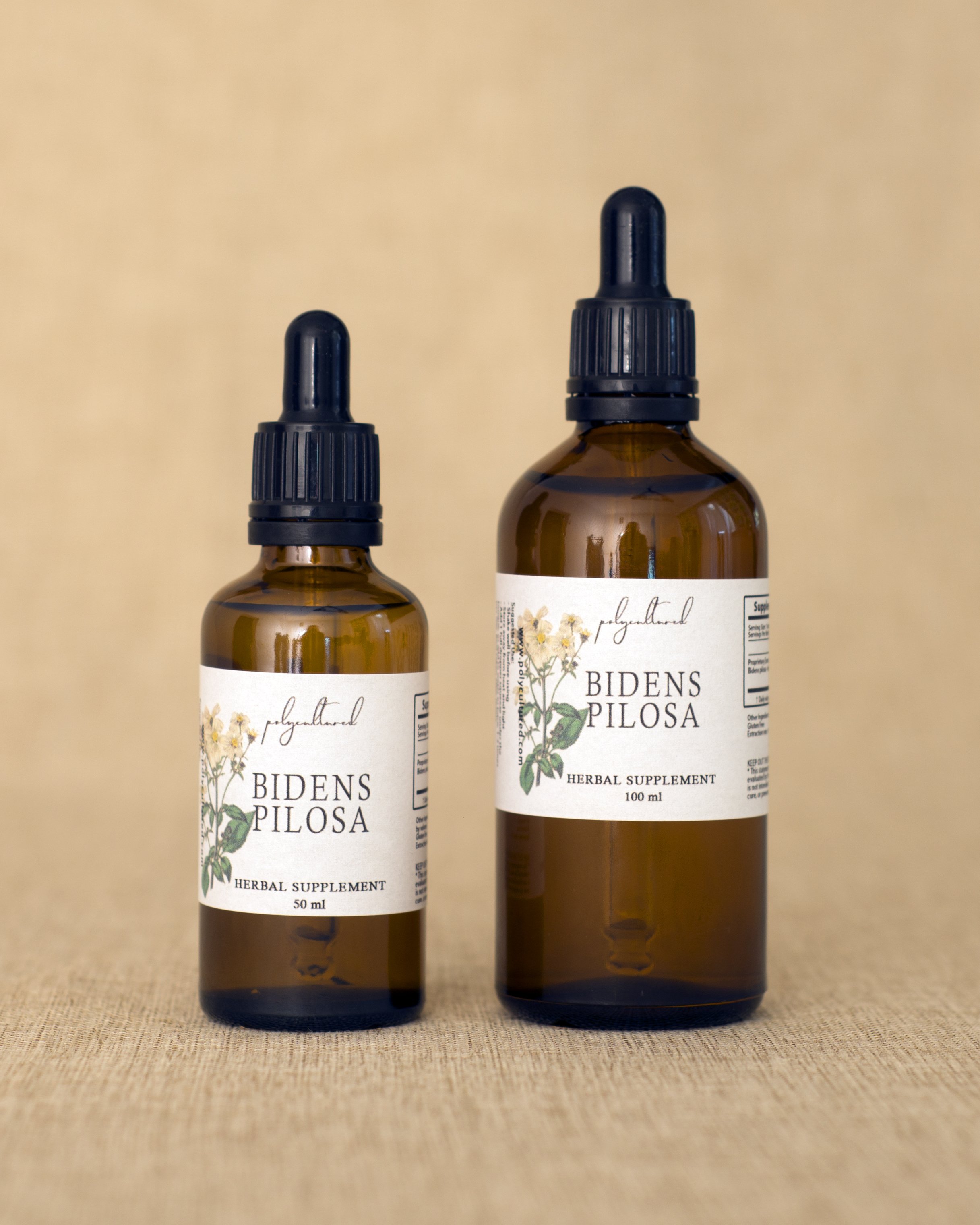 Bidens Pilosa Tincture