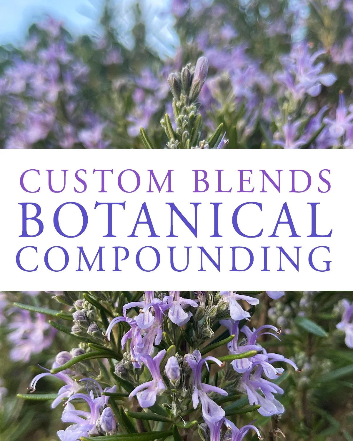 Custom Blends - Botanical Compounding