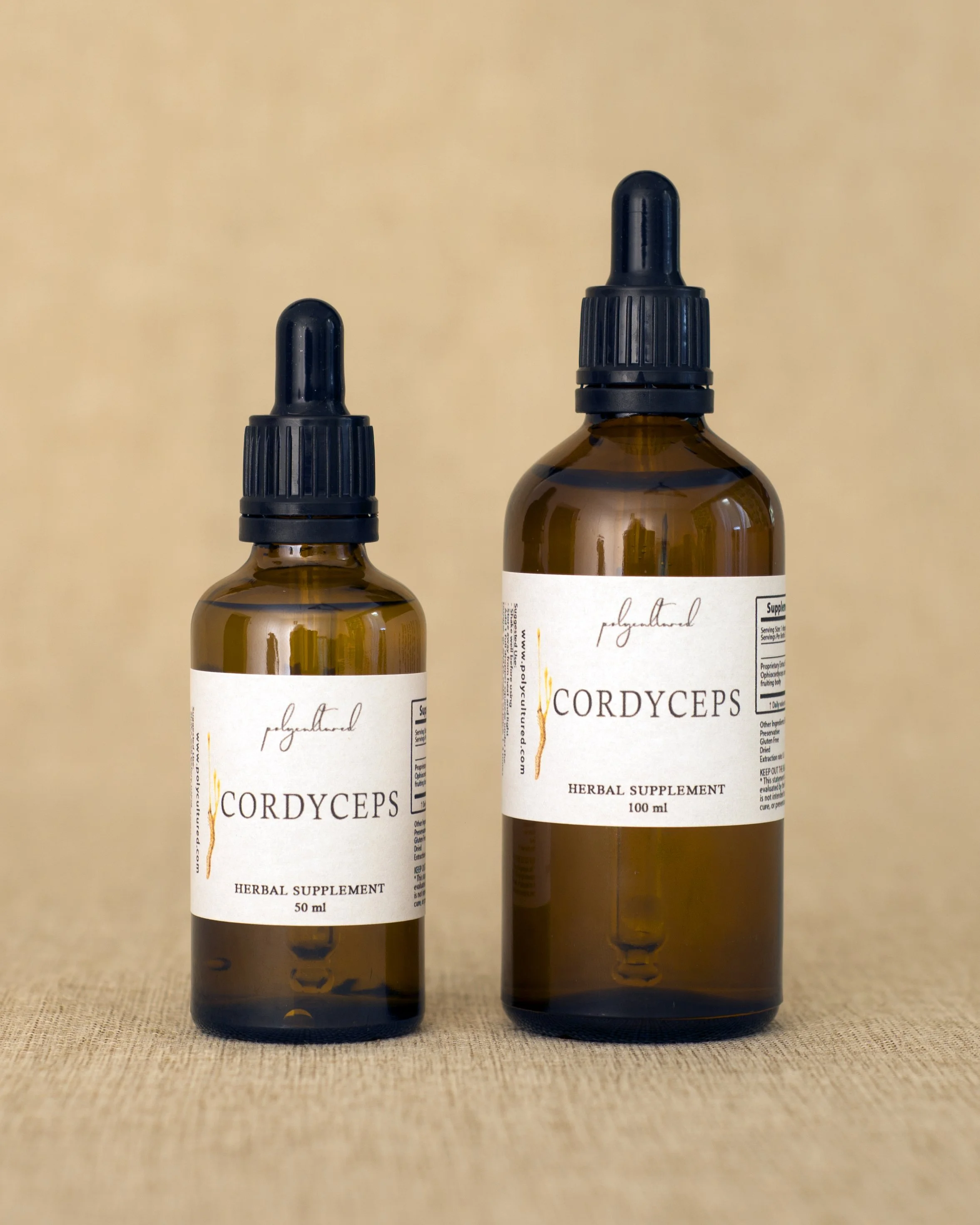 Cordyceps Tincture