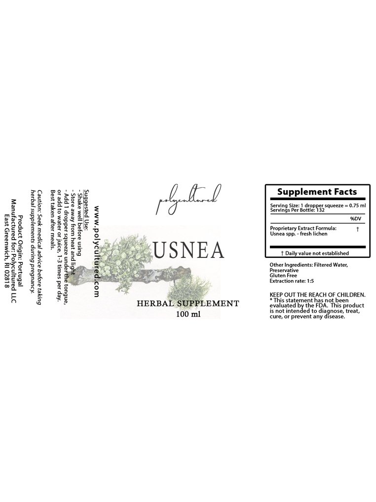 Usnea for web.jpg