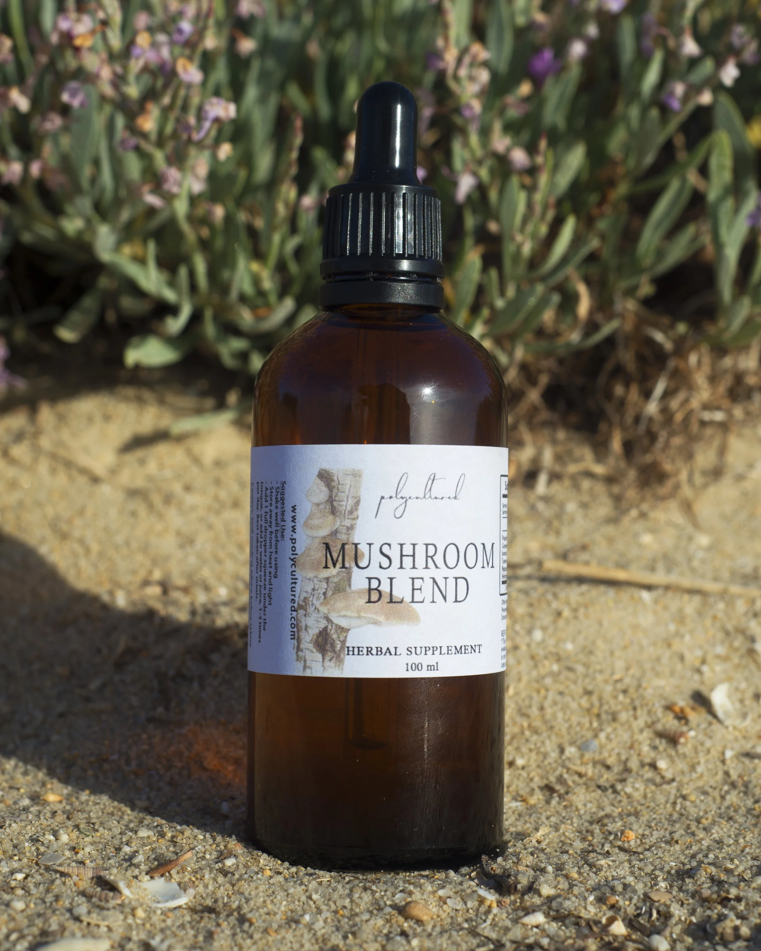 Mushroom Blend Herbal Tincture