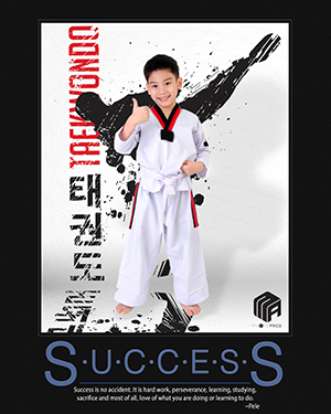TKD Motivational Poster (20x16) - Success.png