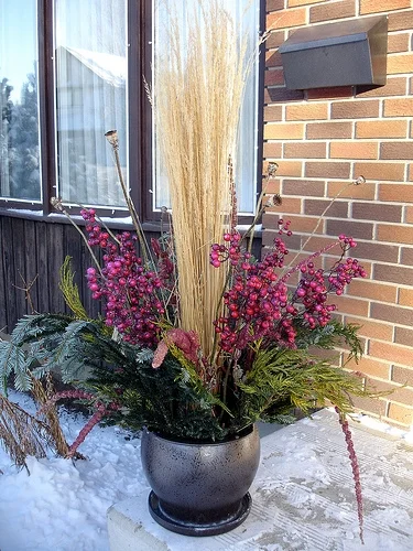 Karl Foerster grass, Fir and Cedar Evergreens, Oriental Poppy seed heads, dried Love Lies Bleeding flower tassels, artificial cranberries