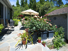 patio-rose-garden.gif