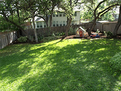 Mature-trees-cast-long-shade.gif