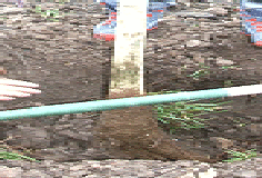 checking-the-depth by Midwest Gardening.gif