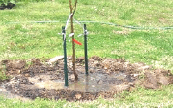 stake-and-soak.gif