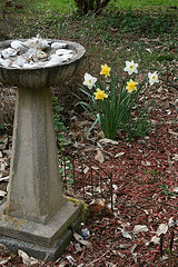 bulb-cluster-accent-by-Dianthus-Moon.gif