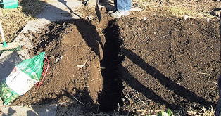 Bulb-trench-by-Ollie-Brown.gif