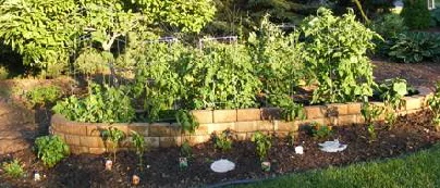 Edibles-garden.jpg