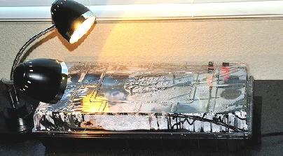 seed-tray-with-heat-mat-and-florescent-light-by-Peter-Baer.jpg