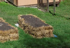 Straw-Bale-Placement-by-devaburger.jpg