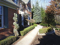 Formal-entry-with-asymmetrical-balance--well-placed-evergreen.gif