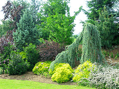 Design-with-color-and-texture_1.gif
