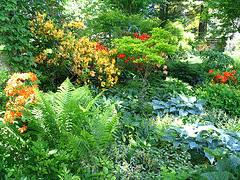 Transition-Woodlandgarden.gif