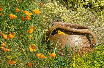 Urn-in-the-garden-by-Mark-A-Coleman.gif