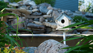 Birdhouse-on-a-stake-by-Chris-Enns.gif