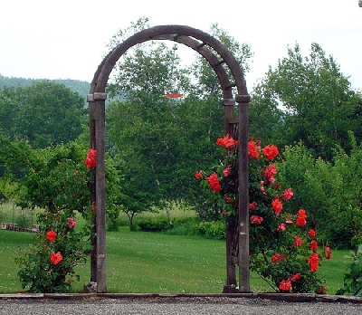 Landscape-arch-by-Sean.gif