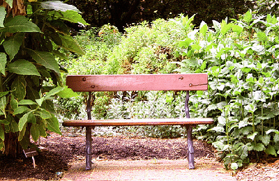 Garden-Bench-by-Tom-Nguyen-Adelaid.gif