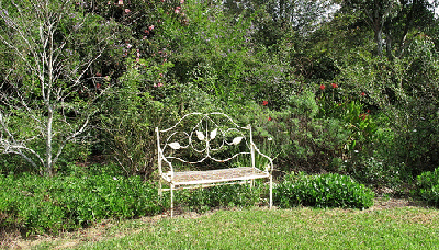 Garden-Bench-by-Allison-Young.gif