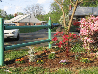 Painted-fence-by-Chriggy.gif