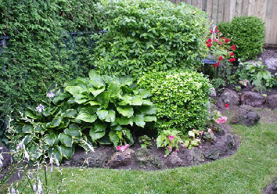 Island-Garden-by-Mary.gif