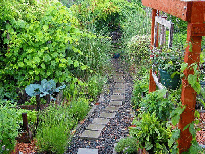 Path-to-garden-bench-by-the-Carringtons.gif