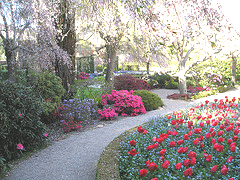 balance-and-repetition-with-color.gif